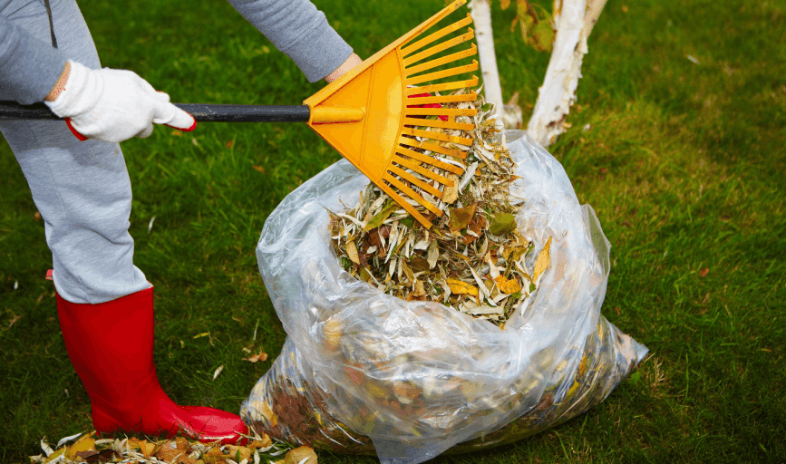 Speedy Gonzalez Lawn Care & Services